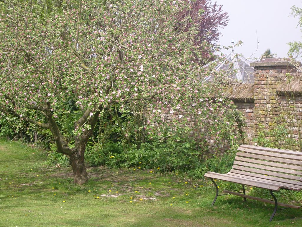 Bed & Breakfast Appeltern Exterior photo